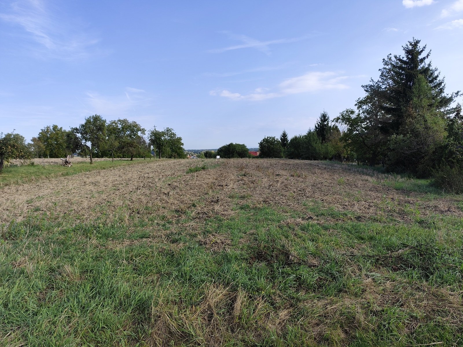 Pozemek v Bezměrově – prostor, klid a potenciál pro váš domov nebo investici