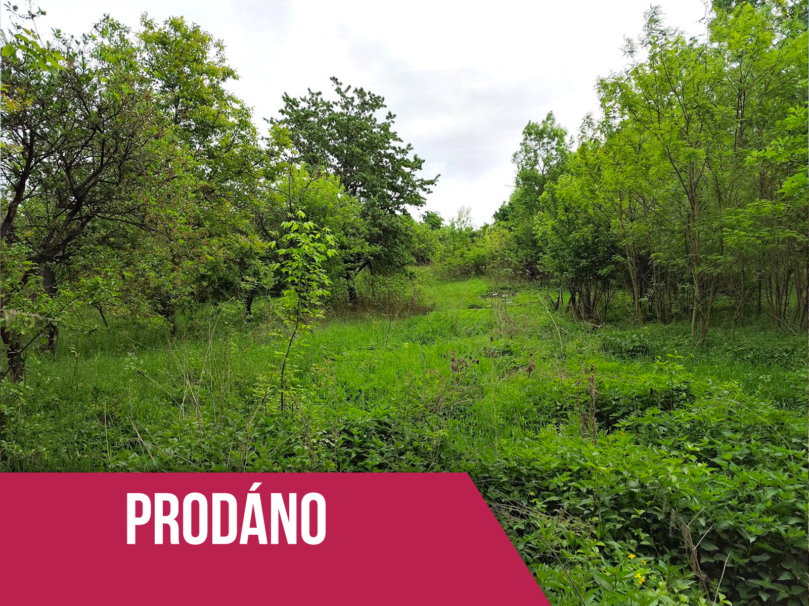 Prodej zahrady, 1578 m2, Brněnské Ivanovice