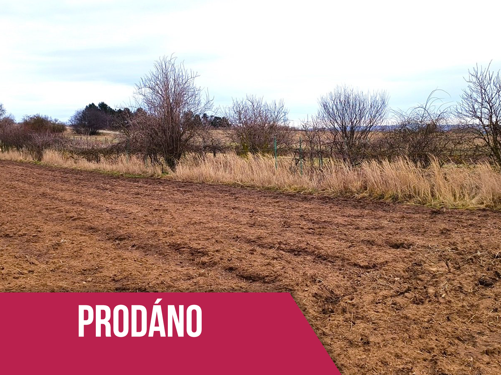 Vinohrad 1189 m2, Opatovice - prodáno