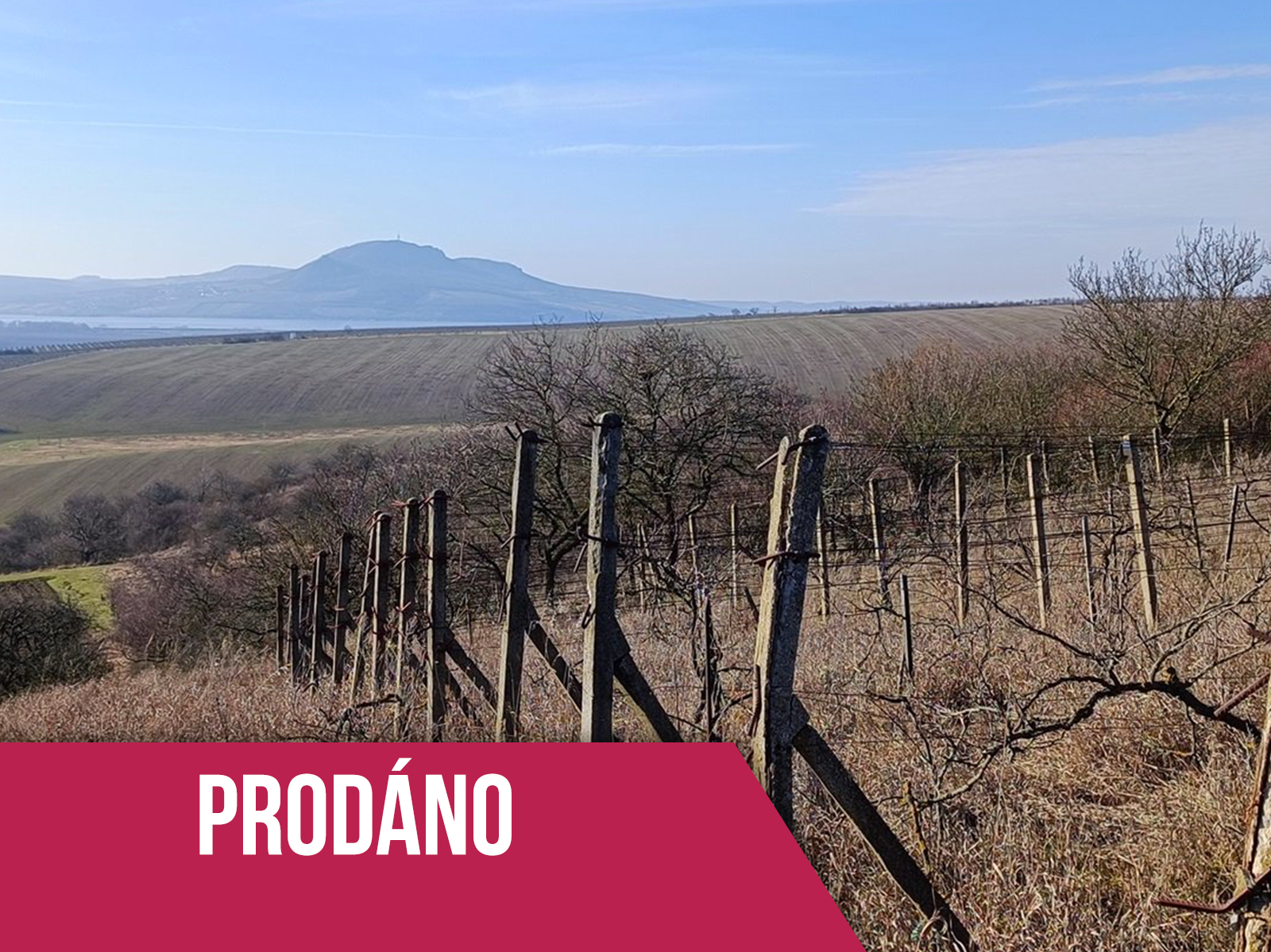 Soubor pozemků 7.386 m2, Hustopeče - prodáno